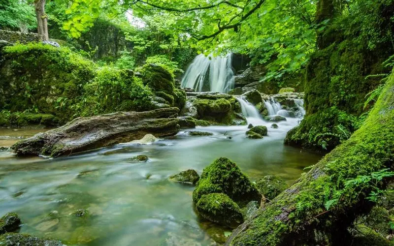电子高端可靠性